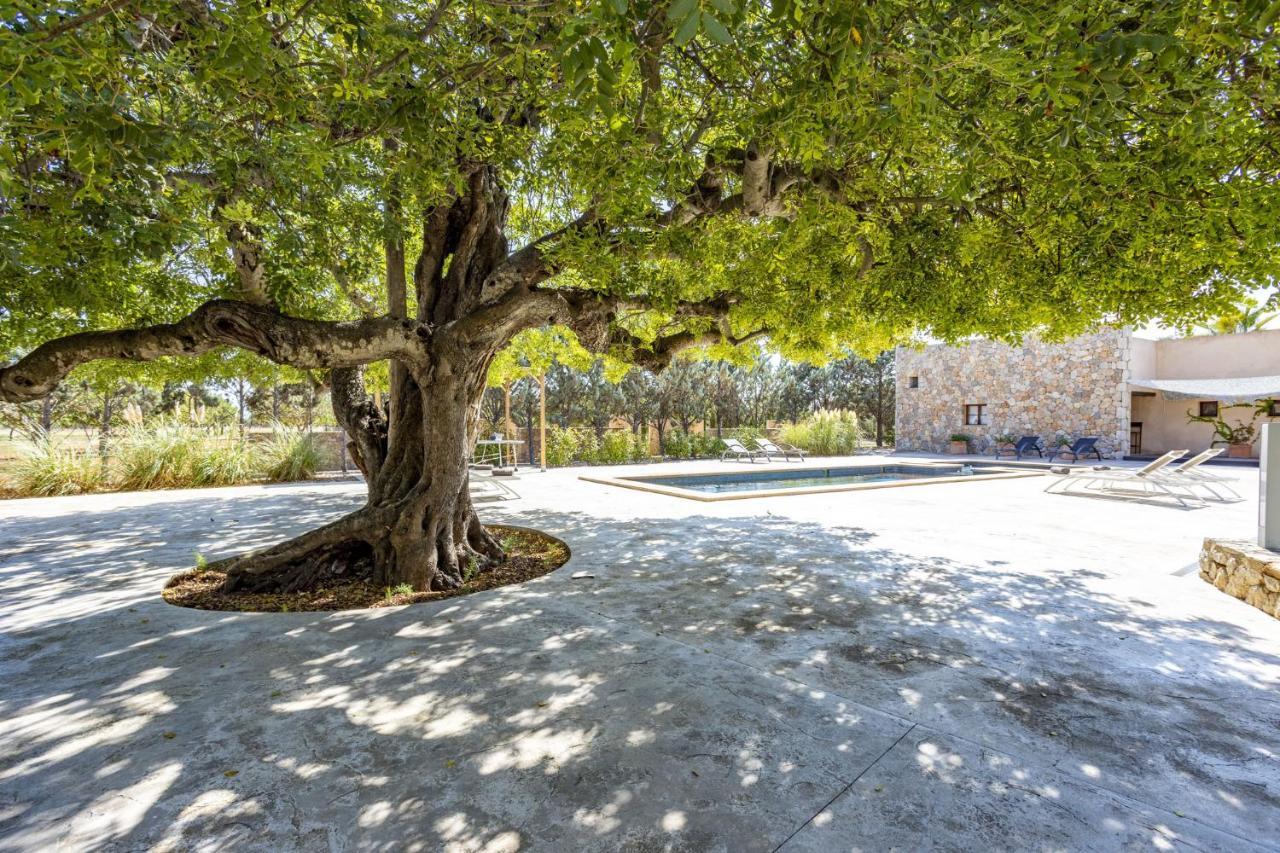 Villa Es Triquet Family Binissalem Esterno foto